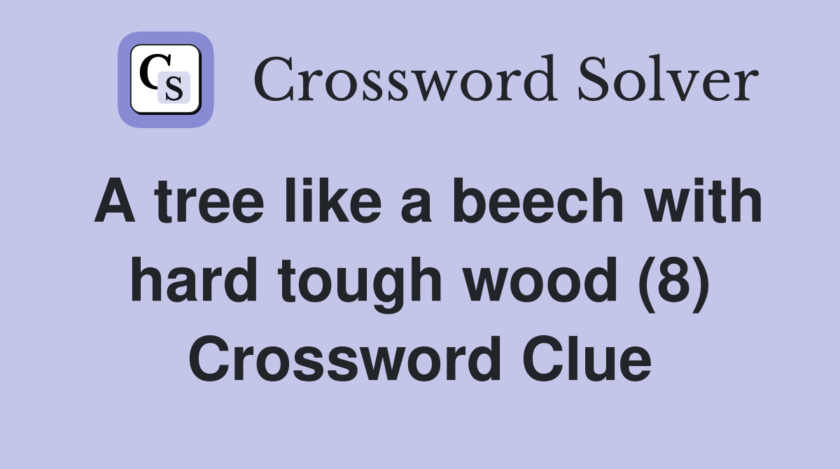 A tree like a beech with hard tough wood (8) Crossword Clue Answers